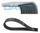 MULTIRIEM OEM-DAYCO 10PK1408HD